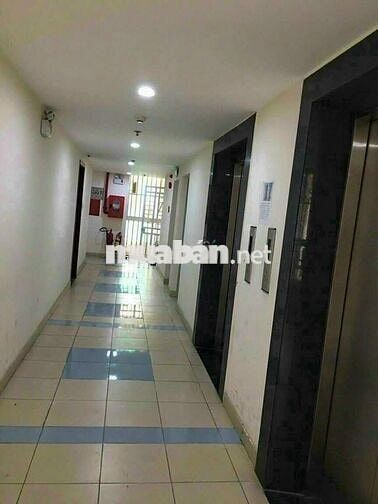 Chung cư đông Hải 53,7 2PN 2WC Sổ riêng