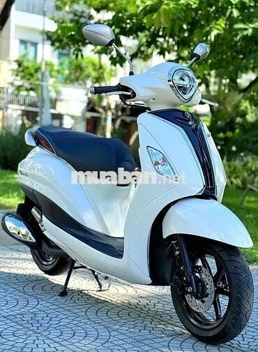Grande 2020 đèn led. biển 43