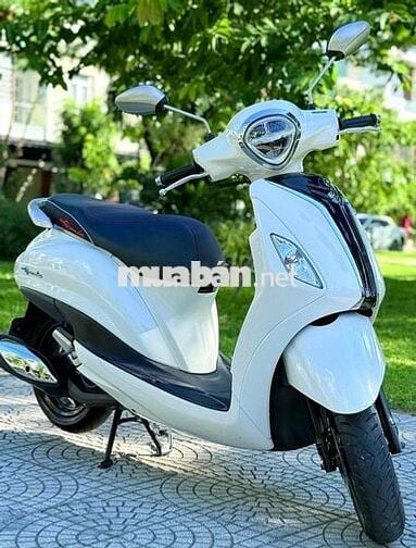 Grande 2020 đèn led. biển 43