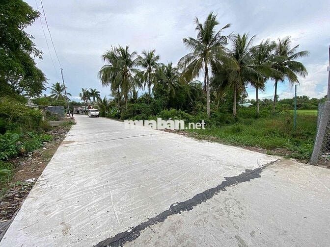 Bán Đất mặt tiền cách Quốc Lộ 61 .100m