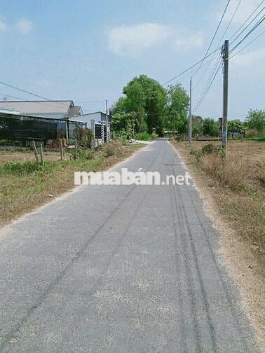 Bán đất ngay chợ Suối Sâu,An Tịnh,Trảng Bàng 410m2 7x55 giá 750tr, SHR
