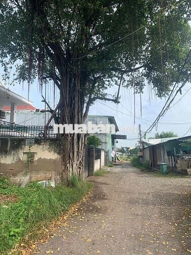 🌿 BÁN NHÀ HXH VIEW SÔNG | 45TR/M – BÌNH QUỚI, P.28, BÌNH THẠNH 🌿
