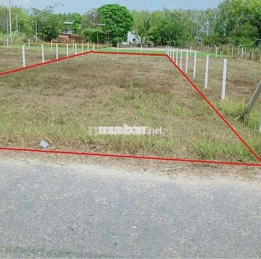 Bán đất ngay chợ Suối Sâu,An Tịnh,Trảng Bàng 410m2 7x55 giá 750tr, SHR