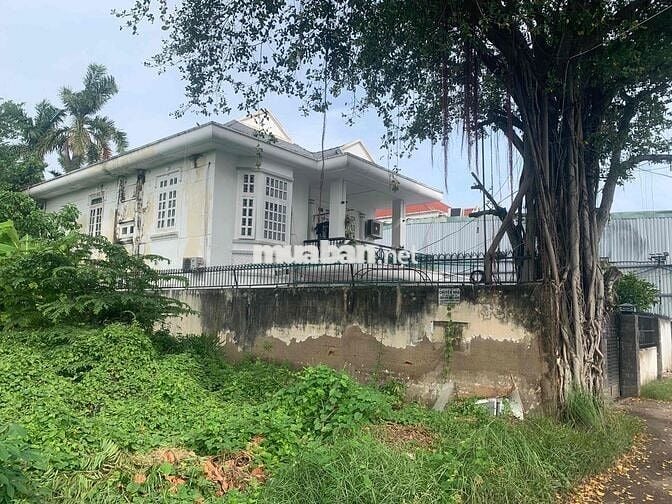 🌿 BÁN NHÀ HXH VIEW SÔNG | 45TR/M – BÌNH QUỚI, P.28, BÌNH THẠNH 🌿
