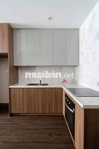 Cho thuê căn hộ 2PN  54m2 full nội thất tại Vinhomes giá chỉ 10tr/th