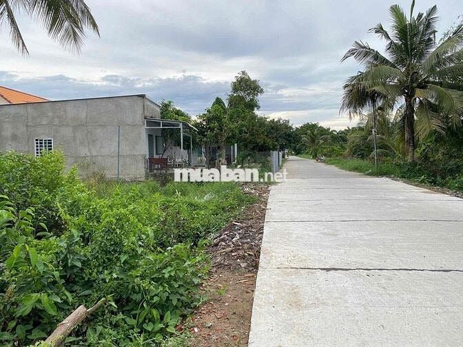 Bán Đất mặt tiền cách Quốc Lộ 61 .100m