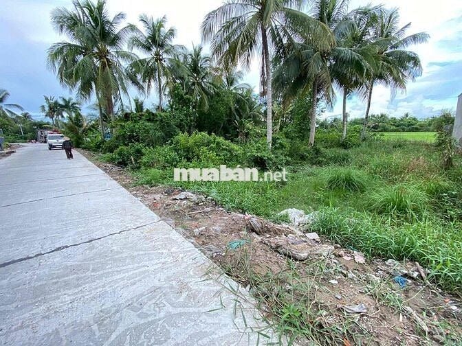 Bán Đất mặt tiền cách Quốc Lộ 61 .100m