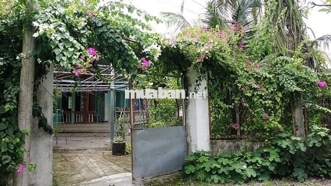 Bán 100 đất thổ cư, đường Đinh văn ước, xã hưng long tp hồ Chí Minh
