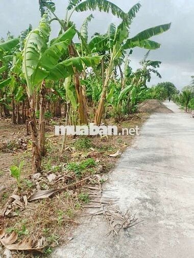 Bán Nền liền kề với KĐT Phú Quý - Phú Cường