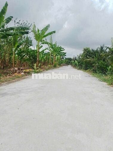 Bán Nền liền kề với KĐT Phú Quý - Phú Cường
