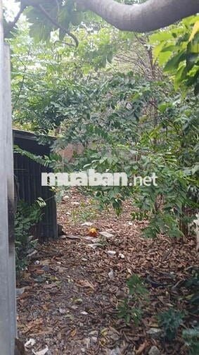 lô đất 168m2 (8x21 ) Hẻm xe Tải Nguyễn Thị Búp sát Hiệp Thành City