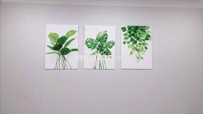 Cho thuê Căn hộ Phúc Đạt 1PN 1wc có Nt