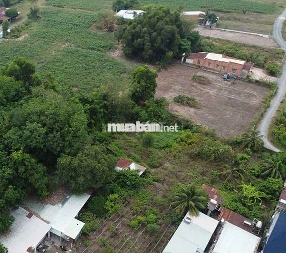 210m2 có thổ cư. Đường xe hơi. Dân cư đông. 499tr