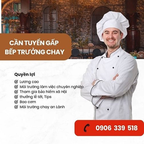 Cần tuyển gấp bếp chay cho nhà hàng tại Tân Phú