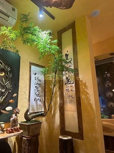 Cần tuyển gấp bếp chay cho nhà hàng tại Tân Phú