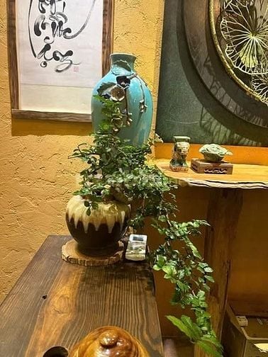 Cần tuyển gấp bếp chay cho nhà hàng tại Tân Phú