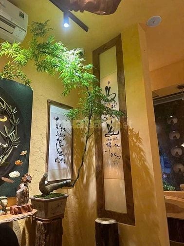 Cần tuyển gấp bếp chay cho nhà hàng tại Tân Phú