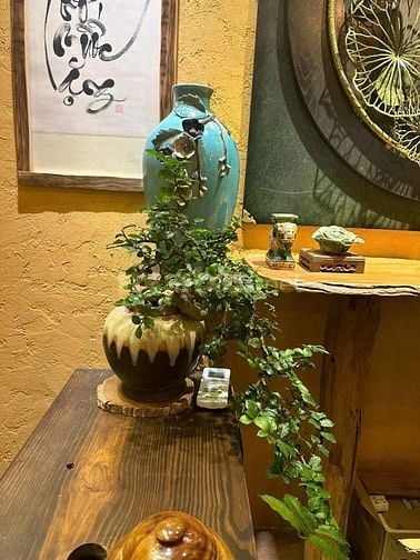 Cần tuyển gấp bếp chay cho nhà hàng tại Tân Phú