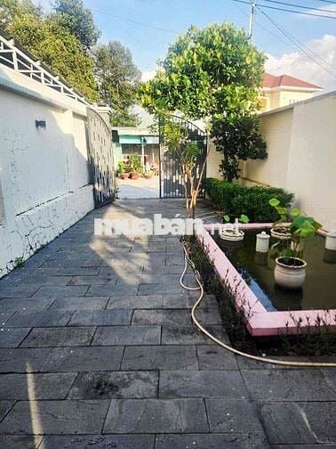 CHO THUÊ NHÀ DIỆN TÍCH 170m2 GIÁ ƯU ĐÃI