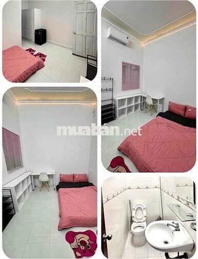 MihiHouse Full NT MT KDC Metro