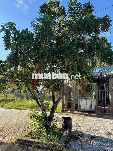 Bán thửa đất đường TRẦN HỬƯ DỰC ngây bãi tắm Tân Trà