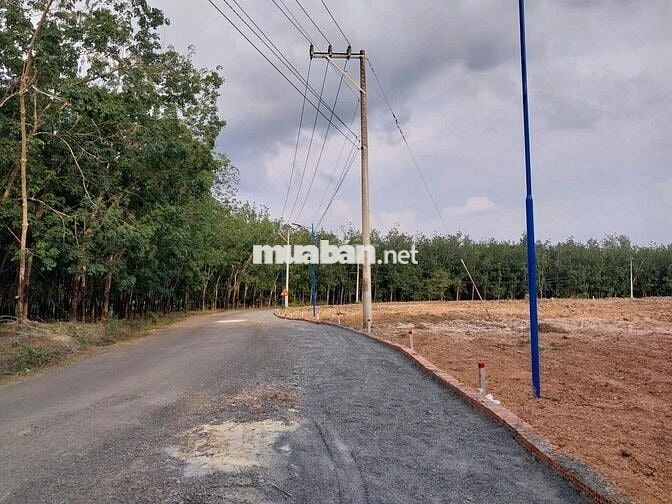 🌟 BÁN ĐẤT LONG HÀ – GIÁ RẺ ĐẦU TƯ, SỔ RIÊNG – NGAY KCN LONG HÀ 🌟