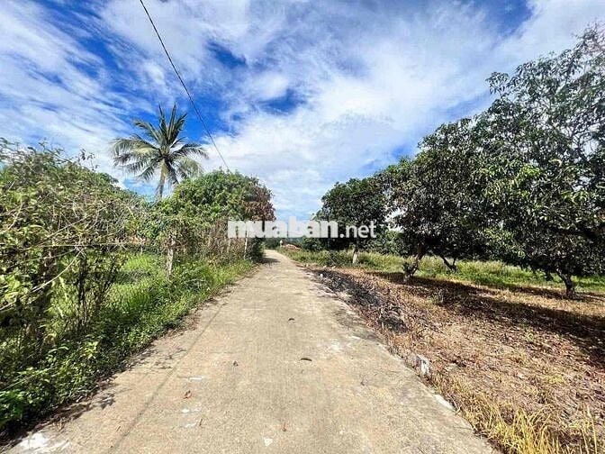 Cần tiền bán nhanh 3 lô đất Suối Tiên Ven Nha Trang