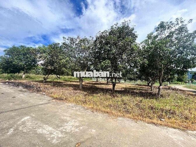 Cần tiền bán nhanh 3 lô đất Suối Tiên Ven Nha Trang