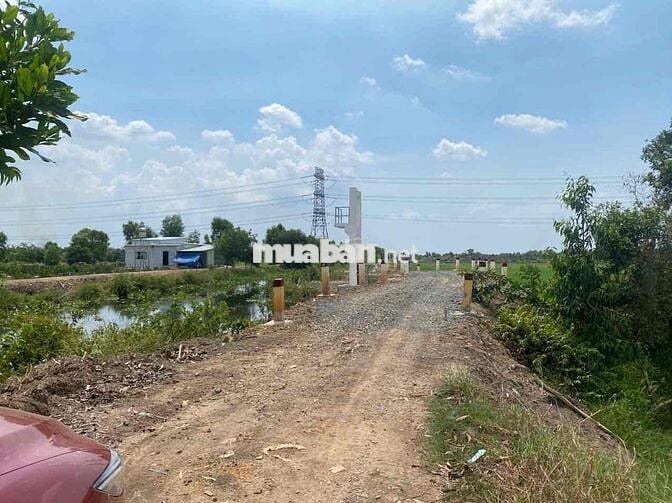 3500m2 đất vườn đường bờ kênh 12m,ấp 3 Bình Hoà Nam , SHR