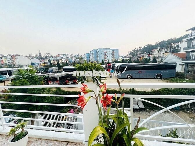 🏡 Cơ hội vàng sở hữu villa trung tâm Đà Lạt, P.05 🏡
