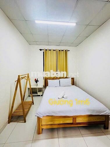 🏡 Cơ hội vàng sở hữu villa trung tâm Đà Lạt, P.05 🏡