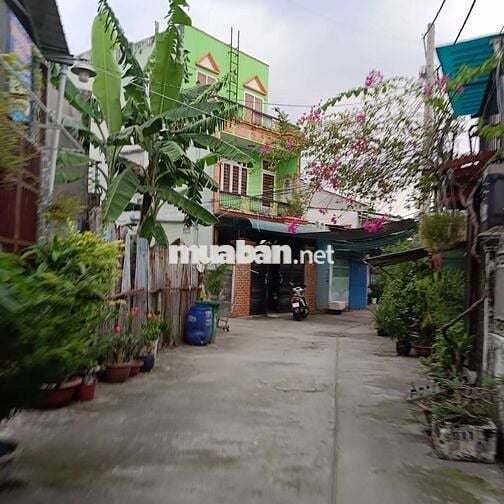 Nhà chính chủ 51m2 hẻm 4m kế bên Công viên Phần mềm Quang Trung