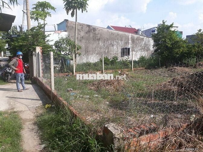 Đất đẹp Hóc Môn 138m2 full thổ, sổ riêng, xây dựng ngay – giá 750Triệu