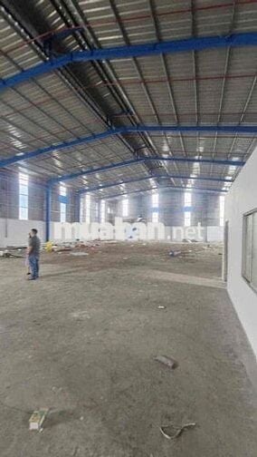 Kho, Xưởng Đường conten Có Pccc giá rẻ