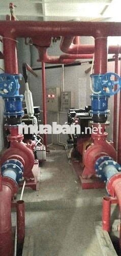 Kho, Xưởng Đường conten Có Pccc giá rẻ