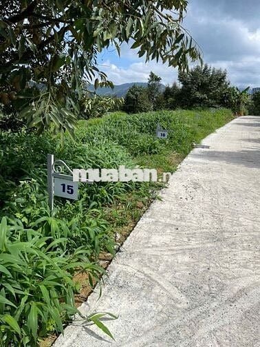 Đất sổ riêng 230m² Thổ Cư giá chỉ 500tr , QL55 gần UBND Lộc xem là mê