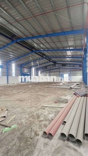 Cho thuê kho xưởng ngoài KCN Đức Hòa Long An