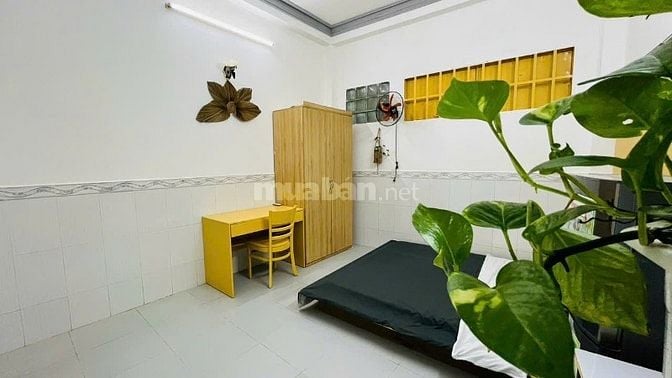 CHO THUÊ CHDV GIÁ RẺ NGAY PHAN XÍCH LONG