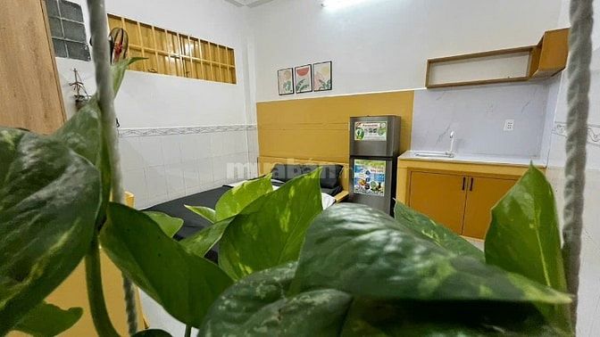 CHO THUÊ CHDV GIÁ RẺ NGAY PHAN XÍCH LONG