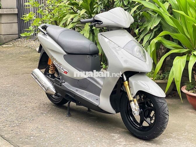 Dylan 150 đời 2004 dọn kiểng BSTP