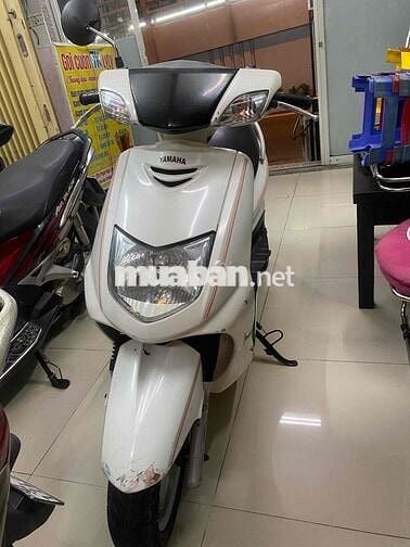 Yamaha Cygnus , fotse , dylan con 4val