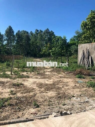 ĐẤT ĐẸP - GIÁ RẺ - Hạ Giá Bán Nhanh Lô Đất Tại Hòa Vang, TP ĐÀ NẴNG