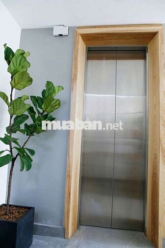 Thuê căn hộ Nguyễn Trãi quận 1 có Ban công thoáng mát như hình