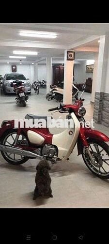 Biệt thự gỗ mặt tiền đường 270 cao lỗ p4 q8 DT 8 x 20m trệt 3 lầu