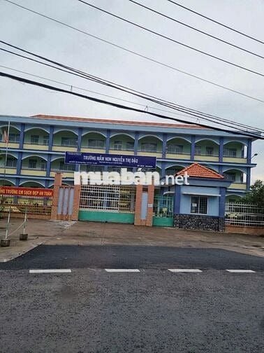 Đất MT nhựa 163m2 Nguyễn Kim Cương Tân Thạnh Đông bán nhanh giá tốt