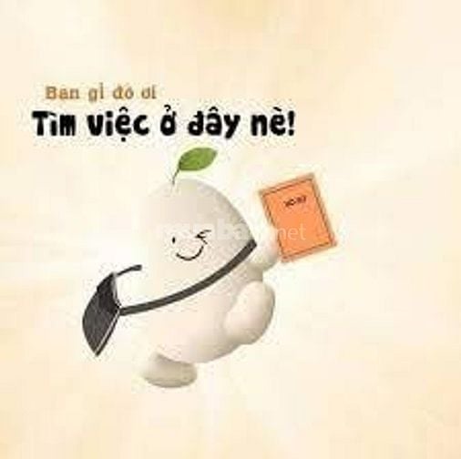 CHÍNH CHỦ TUYỂN NV VĂN PHÒNG VÀ LĐPT LÀM VIÊC TPHCM QUÂN 12 VÀ GÒ VÂDP