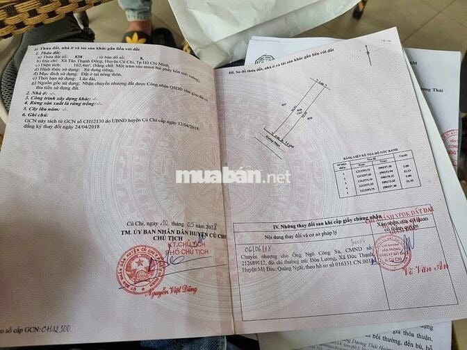 Đất MT nhựa 163m2 Nguyễn Kim Cương Tân Thạnh Đông bán nhanh giá tốt