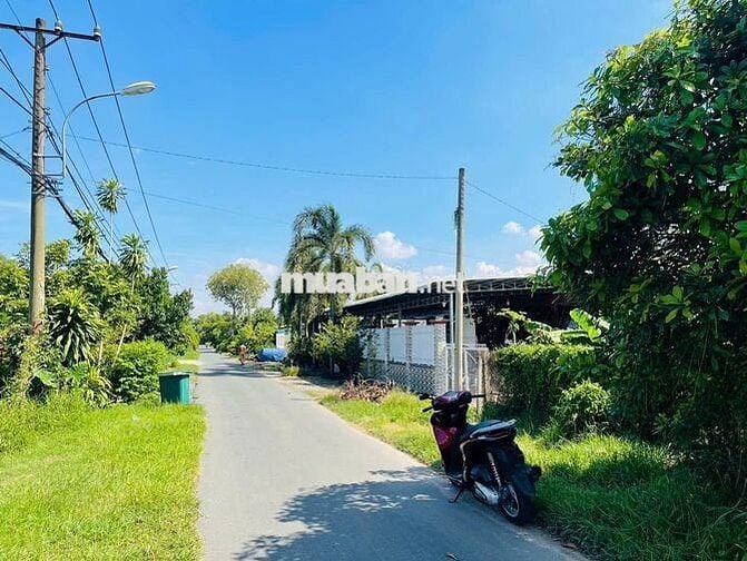 CHỦ 7 CẦN BÁN ĐẤT GIÚP CON CÁI, 9M X 35M, GIÁ 460 TRIỆU, THƯƠNG LƯỢNG