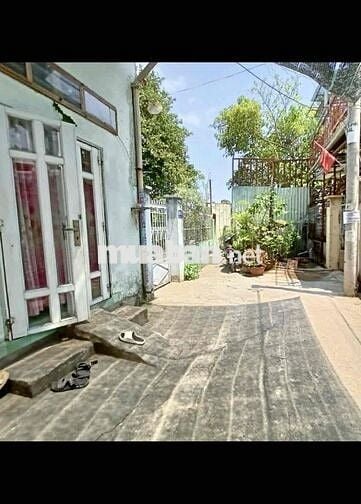 🏠 [BÁN ĐẤT + TRỌ] - 7 TỶ - Bình Phú, Thủ Đức - Đang cho thuê 6 phòng,