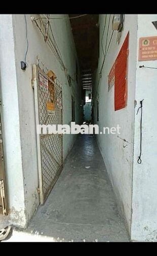 🏠 [BÁN ĐẤT + TRỌ] - 7 TỶ - Bình Phú, Thủ Đức - Đang cho thuê 6 phòng,